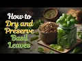How to Dry and Preserve Basil Leaves at Home in 6 Simple Steps