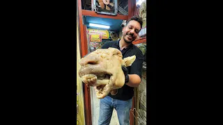 لحمة راس مشوية على الفحم لأول مرة في مصر دندنها