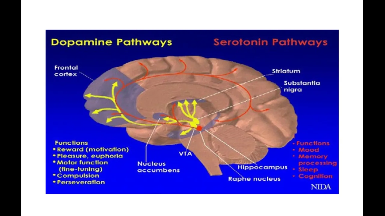 Pharmacogenetics in Psychiatry