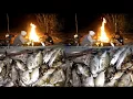 Download Lagu Berburu dilaut malam hari dapat ikan monster