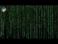 Matrix in Python How to create a matrix-animation in Python