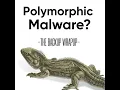 How Polymorphic Malware Evades Detection And What to Do About It