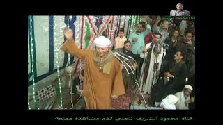 الشيخ ايمن هريدي يا داخل باب سيد نا الحسين حرص من الديدبان عقيقة الشريفة دنيا عرفة الشريف دندنها