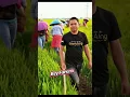 Lagu Sawah, Ladang, dan Cangkul… Teman Hidupku yang Setia