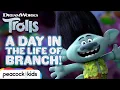 Branch s Mood Makeover Finding His True Colors TROLLS