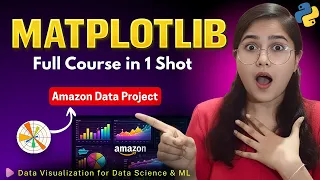 Matplotlib Full Course in 1 Shot Amazon Dataset Project Data Visualization for Data Science ML