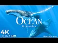 Download Lagu The Ocean (4K UltraHD)- Relaxation Film - Peaceful Relaxing Music - 4k Video UltraHD