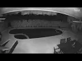 Bobcat screams
