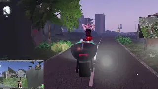                                                دندنها