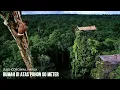 Download Lagu Suku Korowai Tinggal Di Rumah Pohon Tertinggi Mencapai 50 Meter Di Papua Indonesia