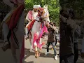 Download Lagu Horse Dance,#wedding #marathi #shortfeed #viralshorts