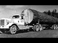 Logging Oregon s Coastal Forests