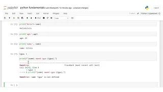 Python Print Function Day 1