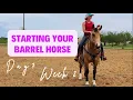 STARTING YOUR BARREL HORSE From the beginning to first competition - Day 7