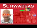 Scott Schwab A Kansas Politican whom s son is a victim to a waterpark accident is on the rise