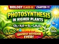 Photosynthesis in Higher Plants Class 11 Biology Chapter 11 Quickest Revision Ever NCERT