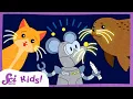 Why Do Animals Have Whiskers Amazing Animal Senses SciShow Kids