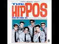 Paulina- The Hippos