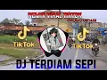 Download Lagu DJ TERDIAM SEPI TIK TOK VIRAL TERBARU 2023 #djterbaru #djtiktok