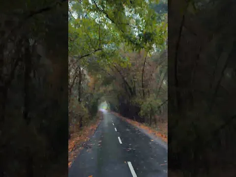 Eid vibes + Rainy road = Pure peace 🌧️🌿এই অনুভূতিটা ভাষায় বোঝানো যায় না…