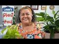 Florida Lowes Plant Haul - Rebuilding my plant collection