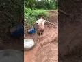 Download Lagu Kwai Funny tiktok : Funny Videos 2020, Chinese Funny Video - Most View Chinese Funny Video