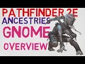 Ancestries Overview Gnome Pathfinder 2E Races