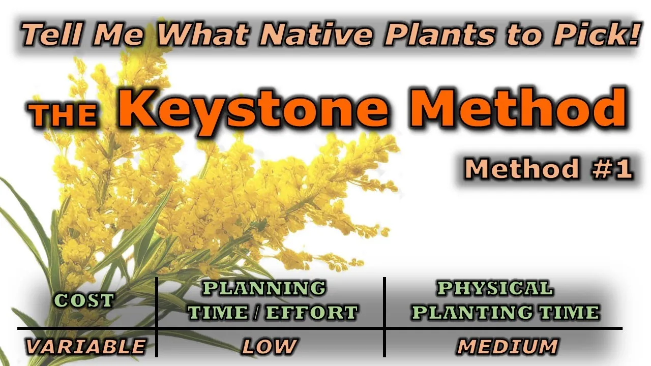 How to Pick the Right Native Plants for You -- Method 1: The Keystone Method (The Greatest Impact)