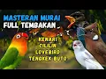 Lagu Masteran Murai Tembakan Kenari, Cililin, Lovebird dan Tengkek Buto