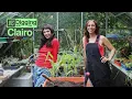 Download Lagu Digging with Clairo and Flo