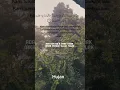 Download Lagu Surah al Qof ayat 9. Menjelaskan tentang 🌧️ hujan. Nikmati dan perbanyak Doa.