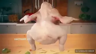 دجاجه ترقص اغنية حازم الصدير شعراتا ولو اشتركوا بقناة 