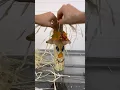 Scarecrow Bottle Craft