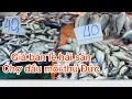 Lagu Cập Nhật giá bán lẻ hải sản chợ đầu mối thủ Đức hôm nay 20-12
