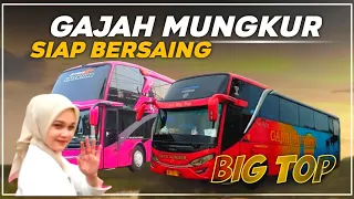 Download BUS GAJAH MUNGKUR MAMPUKAH BERSAING ⁉️ semoga segera bebenah diri LEGEND wonogiri MP3