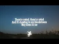 Stephen Wilson Jr. -  Dig A Hole (Lyrics)