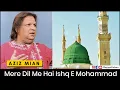 Mere Dil Me Hai Ishq E Mohammad ﷺ (FULL) - Aziz Mian Qawwal | Haqiqat حقیقت