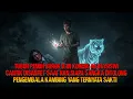 Download Lagu MAHASISWI CANTIK DISANTET SAAT KKN,SIAPA SANGKA DITOLONG PENGEMBALA KAMBING YANG TERNYATA SAKTI