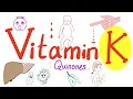 Vitamin K - Sources Deficiency and Excess