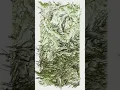 Let s Get Higher Creative coding with p5 js