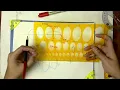 Using Ellipse templates