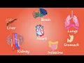 Organs in the human body Easy to understand animation