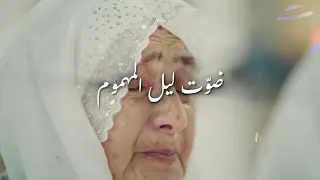 انشودة هو الحبيب صلى الله عليه وسلم 