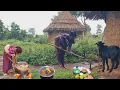 Rainy Day Cooking Fresh Fish \u0026 Organic Cassava for 500 Children 🌧 Young Couple Goals Married at 15