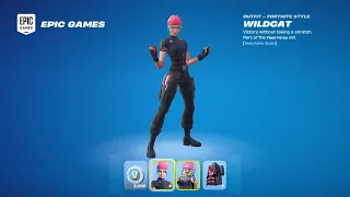 Redeeming Wildcat in 2025 Fortnite Nintendo Switch Exclusive Code