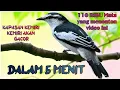Download Lagu KAPASAN KEMIRI GACOR DALAM 5 MENIT MENDENGAR MASTERAN INI
