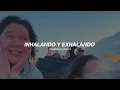 boygenius - Not Strong Enough // español + vídeo oficial