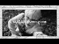 TXT - Sugar Rush Ride | Instrumental