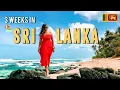 Download Lagu SRI LANKA TRAVEL VLOG 🇱🇰 3 Weeks Living in Weligama, Sri Lanka 🏖️🌴🌊🏄🏻‍♀️