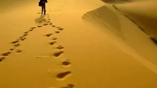 كاظم الساهر   اضعت في عرض الصحراء قافلتي دندنها